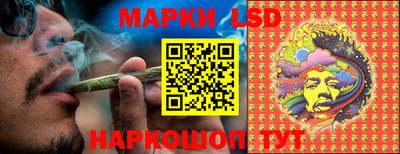 индика Сланцы