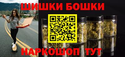 индика Сланцы