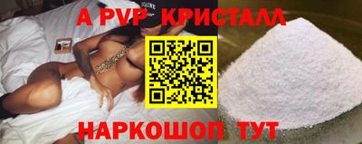 индика Сланцы