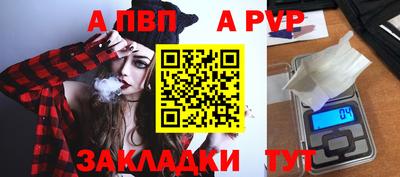 индика Сланцы