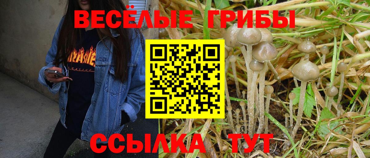 Новошахтинск  A-PVP СК кристаллы  Меф МЯУ МЯУ   МДМА  Вход с VPN  ГАШИШ  МАРИХУАНА 