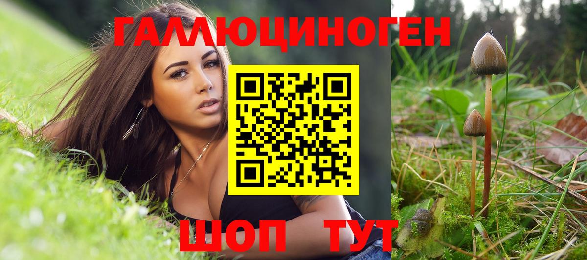 Галлюциногенные грибы Magic Shrooms  закладки  Новошахтинск  Вход с VPN  Галлюциногенные грибы мухоморы 
