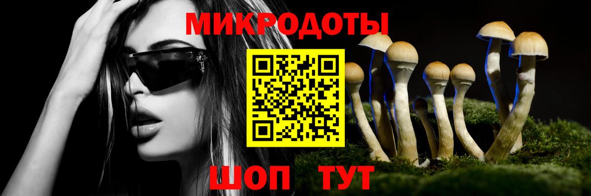 Конопля Новошахтинск